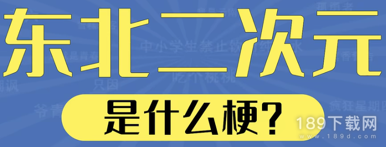 东北二次元是什么梗 东北二次元梗意思介绍