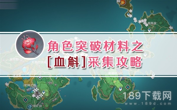 原神九条裟罗突破材料血斛采集路线是什么 原神九条裟罗突破材料血斛采集路线指南