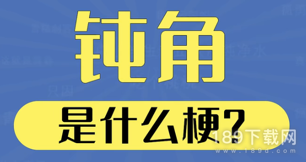 钝角是什么意思 钝角梗意思介绍