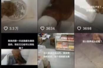 欢欢卤味店是什么梗一览 欢欢卤味店梗含义一览